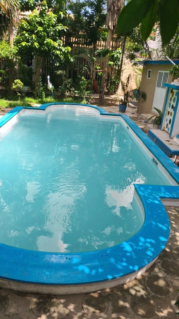Bright blue pool with curved steps in a tropical garden