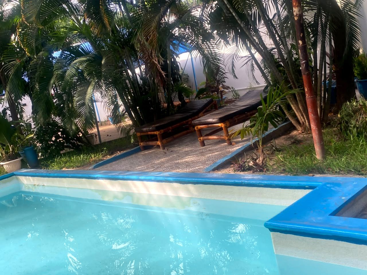 Sun loungers next to the pool