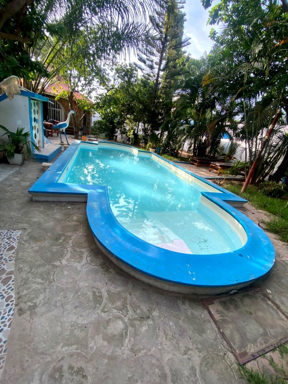 The pool under palm trees